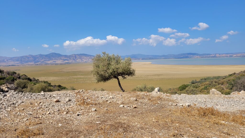 Tunisia Ichkel National Park